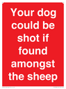 your-dog-could-be-shot-if-found-amongst-the-sheep~